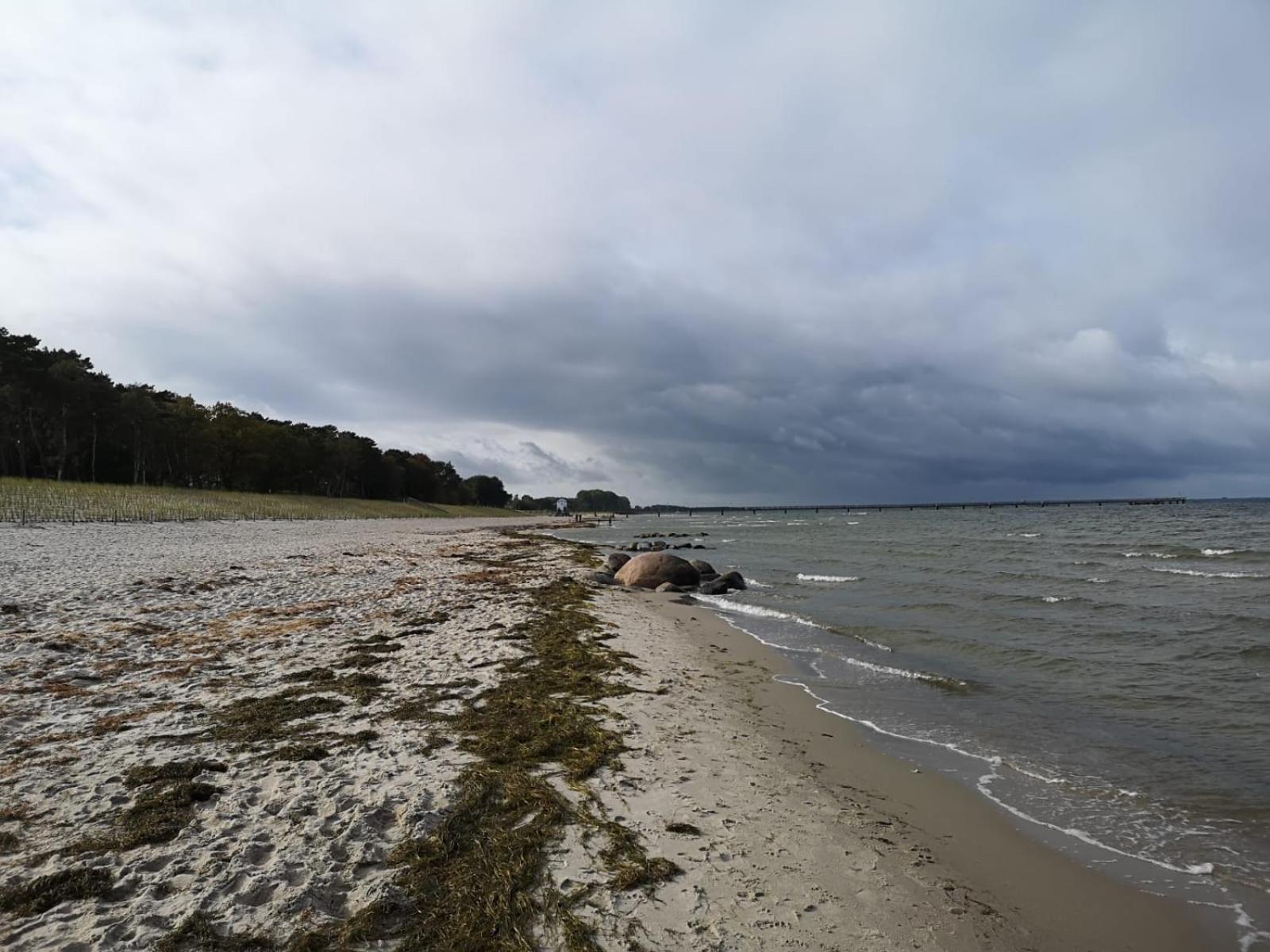 Ferienwohnungen "Weitblick" Und "Schwalbennest" Lodmannshagen Pokój zdjęcie