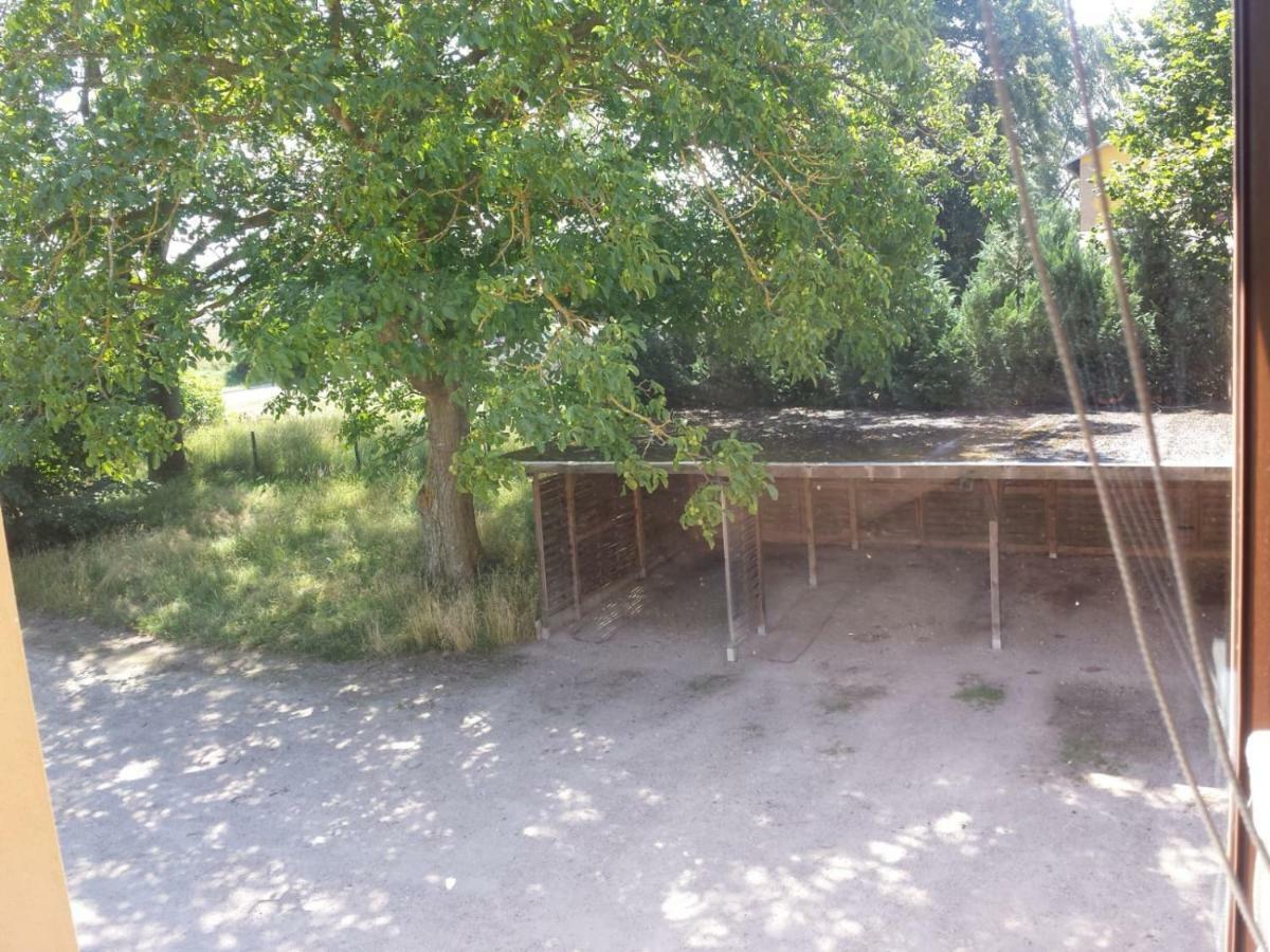 Ferienwohnungen "Weitblick" Und "Schwalbennest" Lodmannshagen Zewnętrze zdjęcie