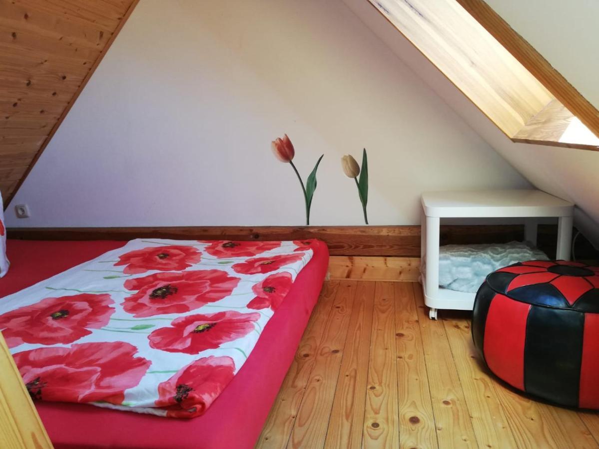 Ferienwohnungen "Weitblick" Und "Schwalbennest" Lodmannshagen Zewnętrze zdjęcie