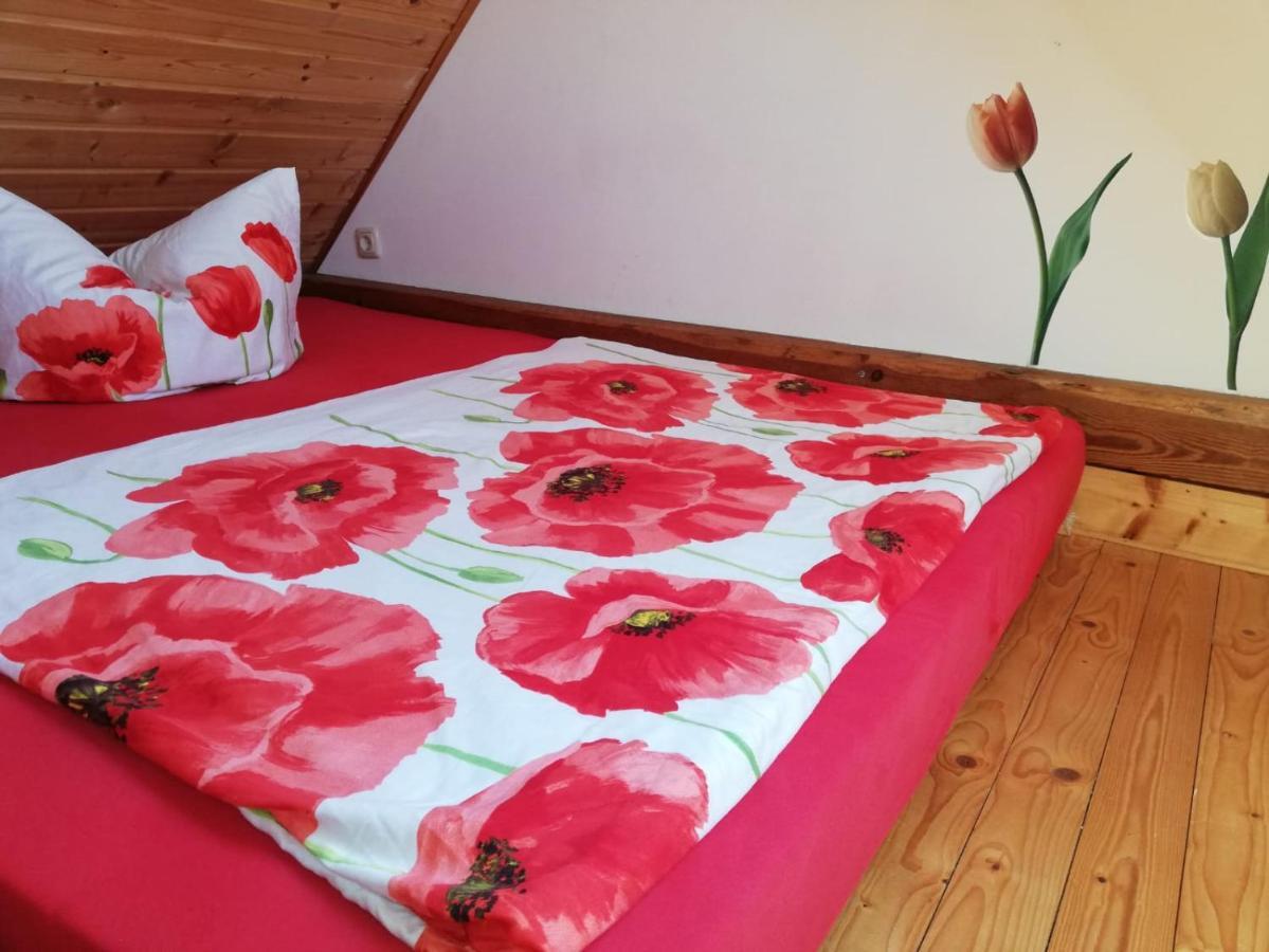 Ferienwohnungen "Weitblick" Und "Schwalbennest" Lodmannshagen Zewnętrze zdjęcie